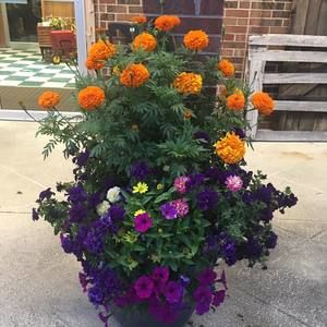 Meet your Posher, Doug